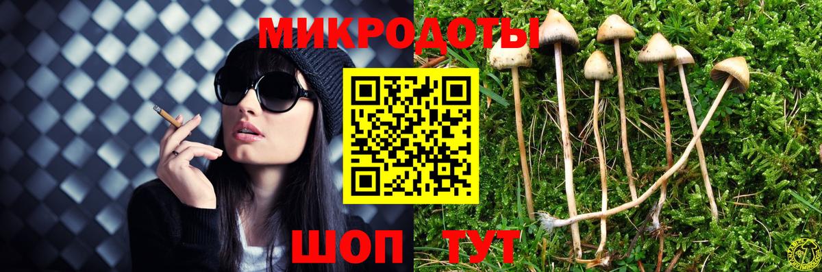 Галлюциногенные грибы GOLDEN TEACHER  Вход с VPN  купить закладку  Мценск 